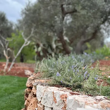 Borgo Montetorto Holiday home Ostuni